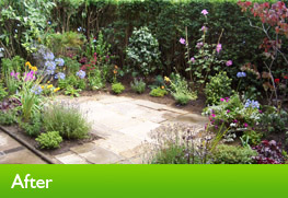 garden after transformation